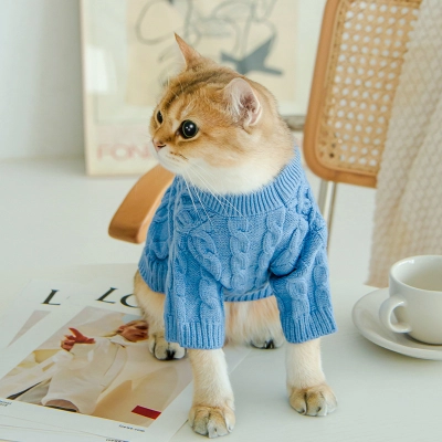 Cat Twist Knitting Sweater Warm And Comfortable Cat Autumn And Winter Clothing 01