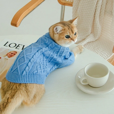 Cat Twist Knitting Sweater Warm And Comfortable Cat Autumn And Winter Clothing 02