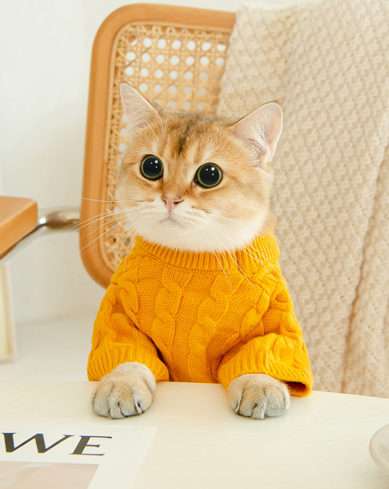 Cat Twist Knitting Sweater Warm And Comfortable Cat Autumn And Winter Clothing