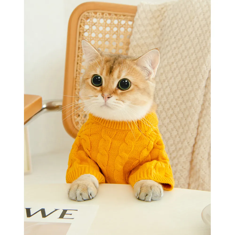 Cat Twist Knitting Sweater Warm And Comfortable Cat Autumn And Winter Clothing