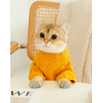 Cat Twist Knitting Sweater Warm And Comfortable Cat Autumn And Winter Clothing