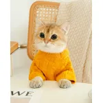Cat Twist Knitting Sweater Warm And Comfortable Cat Autumn And Winter Clothing