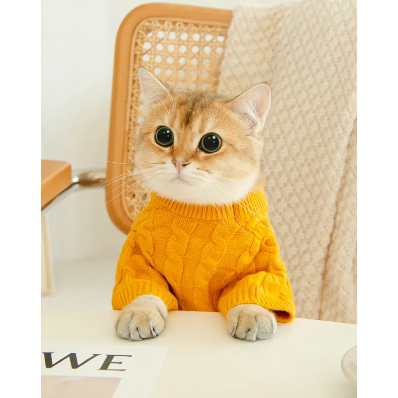 Cat Twist Knitting Sweater Warm And Comfortable Cat Autumn And Winter Clothing
