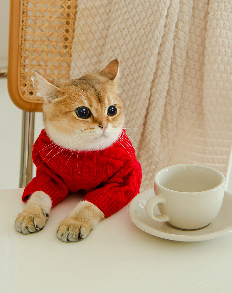 Cat Twist Knitting Sweater Warm And Comfortable Cat Autumn And Winter Clothing
