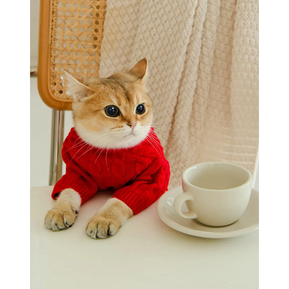Cat Twist Knitting Sweater Warm And Comfortable Cat Autumn And Winter Clothing