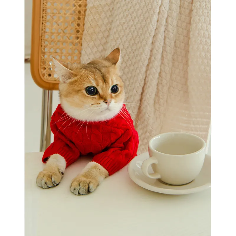 Cat Twist Knitting Sweater Warm And Comfortable Cat Autumn And Winter Clothing