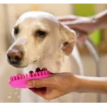 Cat Dog Silicone Bath Brush