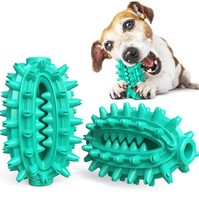 Dog Chew Toy Rubber Molar Cactus 01