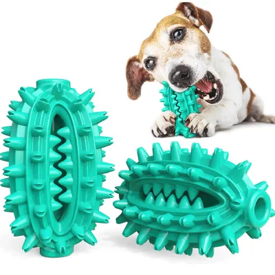 Dog Chew Toy Rubber Molar Cactus 01