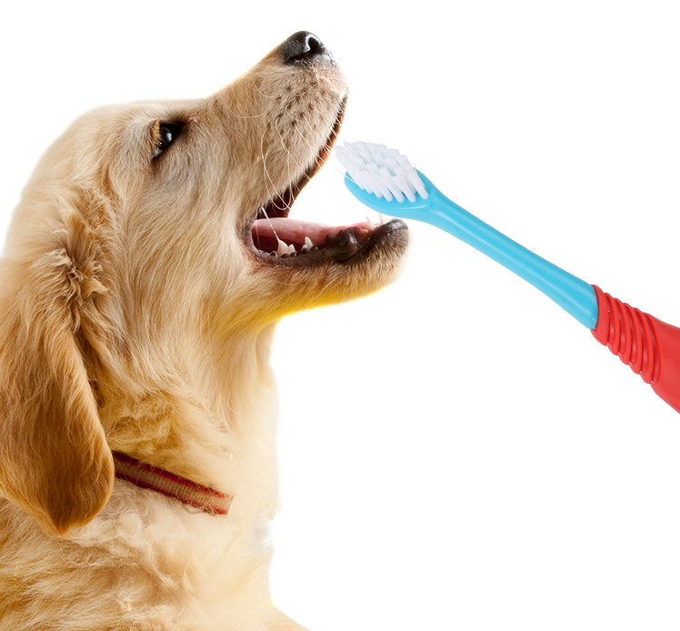 Cat Dog Dual Ended Oral Cleaning Toothbrush