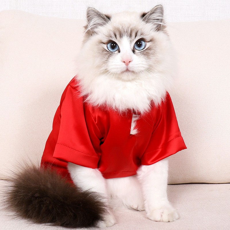 Cat T-Shirt Cool Summer Clothing Comfortable Cat Japanese Style Clothing Hair Two Legged Clothes Silk Clothes