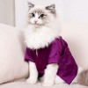Cat T-Shirt Cool Summer Clothing Comfortable Cat Japanese Style Clothing Hair Two Legged Clothes Silk Clothes