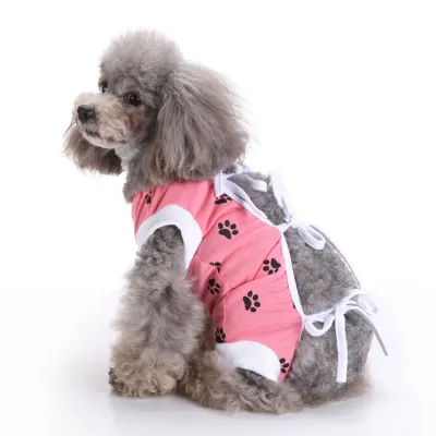 Dog Recovery Suit for Eutered Post-operative Care 01