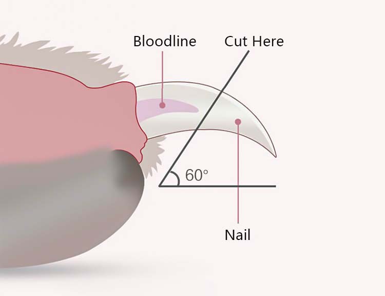 Cat Dog Led Light Nail Clipper With Safety Guard