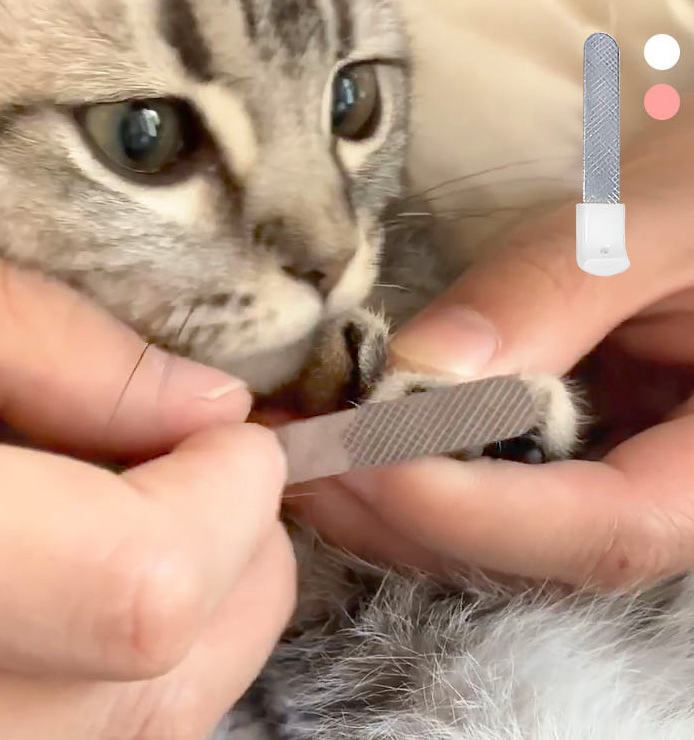 Cat Dog Led Light Nail Clipper With Safety Guard