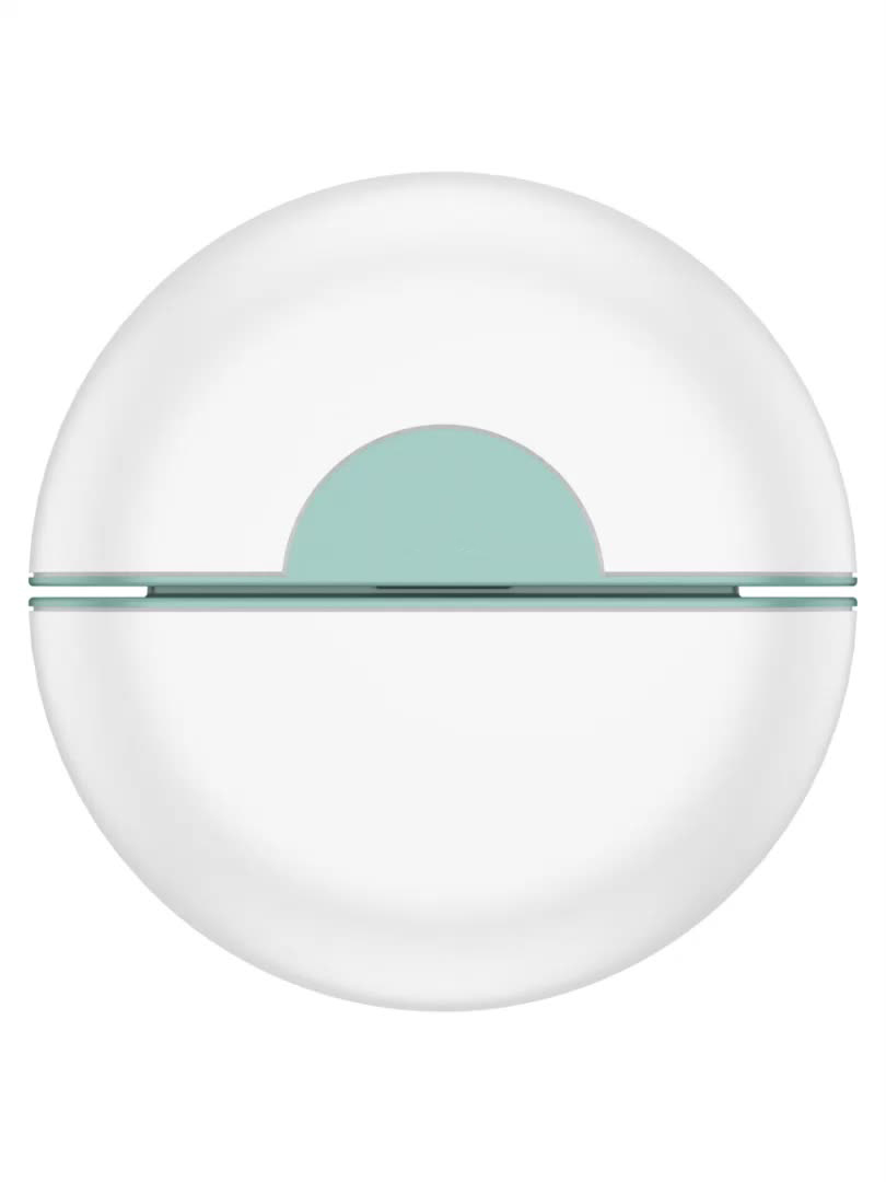 Cat Dog Stainless Steel Massage Shell Combs