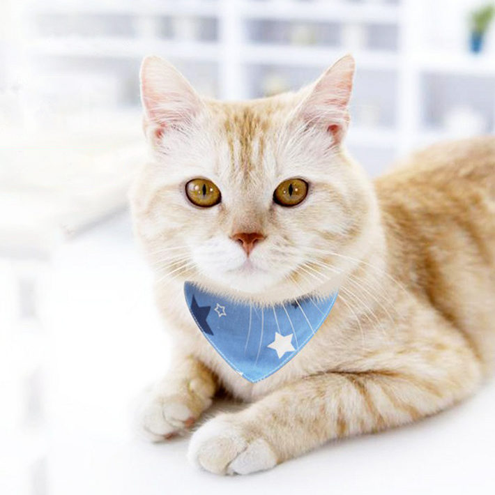 Cat Triangle Towel Fashionable And Cute Pure Cotton Saliva Towel Buttons Are Flexible To Adjust The Size