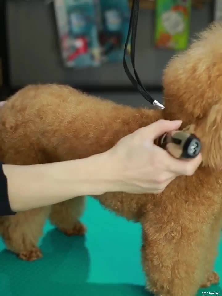 USB Rechargeable Cat Dog Electric Hair Clipper