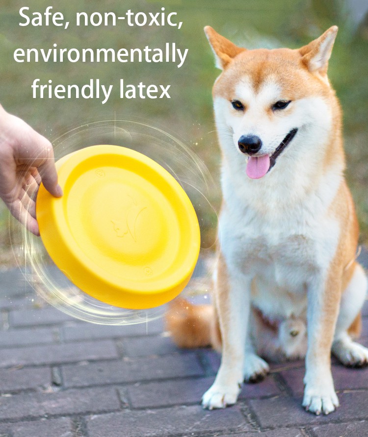 Dog Throw Toy Training Frisbee