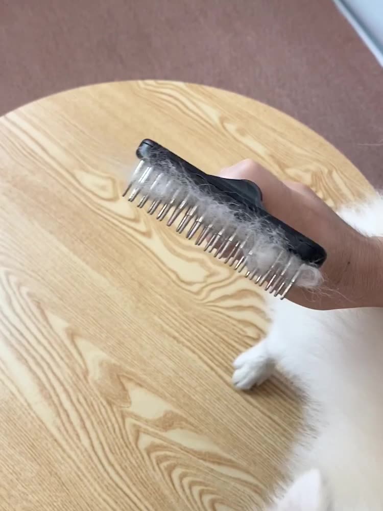 Stainless Steel Dog Cleaning Rake Comb