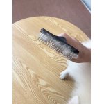 Stainless Steel Dog Cleaning Rake Comb