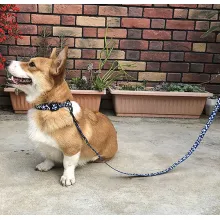 QQPETS Printing Trendy Adjustable Dog Collar05