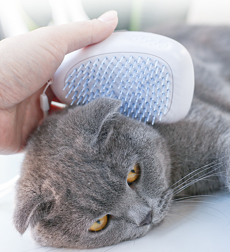 Cat Self Cleaning Shaving Brush