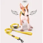 QQPETS Adjustable Soft Pet Collar Minimalist Solid Color Design Trendy And Fashionable Pet Collar