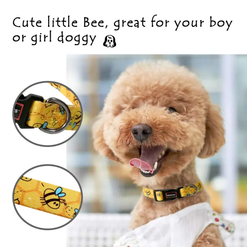 QQPETS Fashionable Adjustable Dog Collar02
