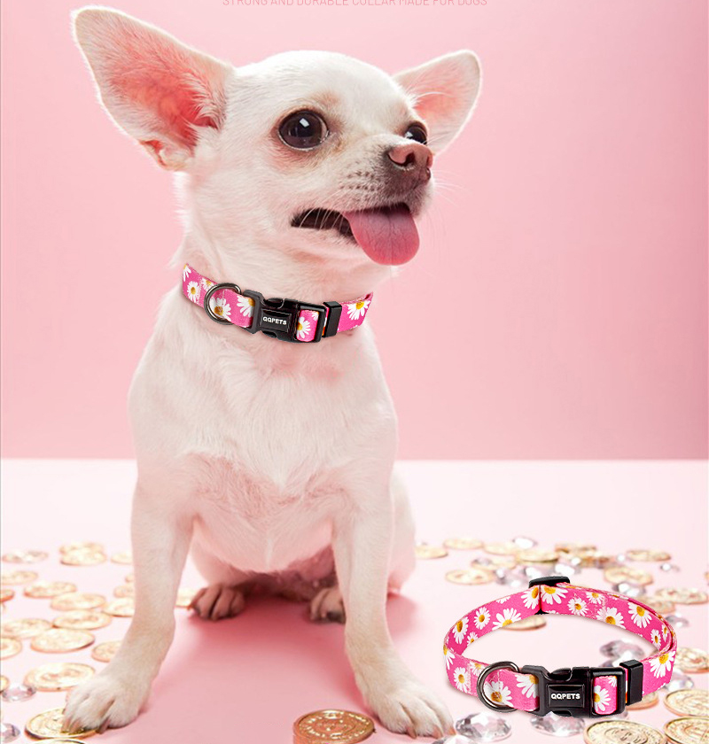 QQPETS Fashionable Adjustable Dog Collar