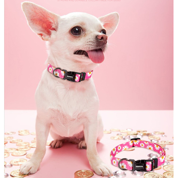 QQPETS Dog Cat Adjustable Soft Dog Collar Cute Printing Trendy And Fashionable Dog Collar