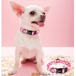 QQPETS Fashionable Adjustable Dog Collar