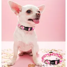 QQPETS Fashionable Adjustable Dog Collar05