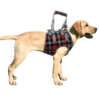Dog Lift Harness for Front Legs 01
