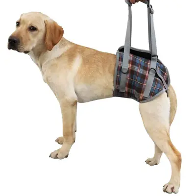 Dog Lift Harness for Hind Legs 02