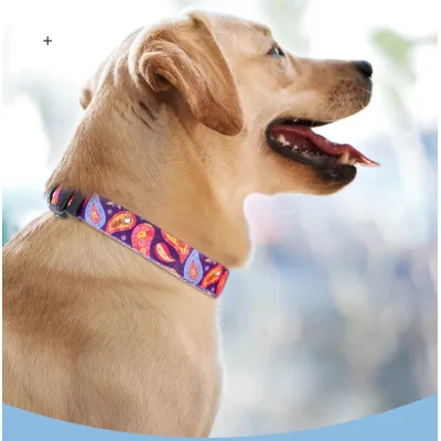 QQPETS Durability Adjustable Dog Cat Collars 02