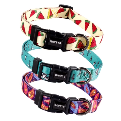 QQPETS Durability Adjustable Dog Cat Collars 01
