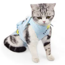 Cat Recovery Suit for Post-Operative Care05