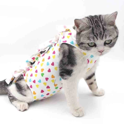 Cat Recovery Suit for Post-Operative Care 01