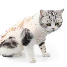 Cat Recovery Suit for Post-Operative Care06
