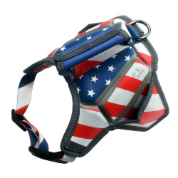 QQPETS Flag Series Pet Dog Massage Harness Fashion Technology Sense Shape Adjustable Size