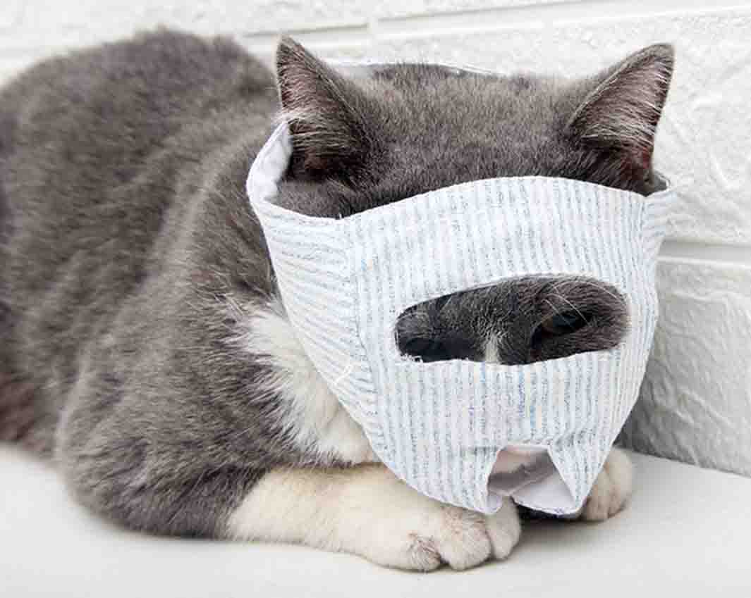 Cat Mask Cat Mouth Restraint Mask Cotton Eye Opening Mask To Prevent Cat Bites Cat Meowing