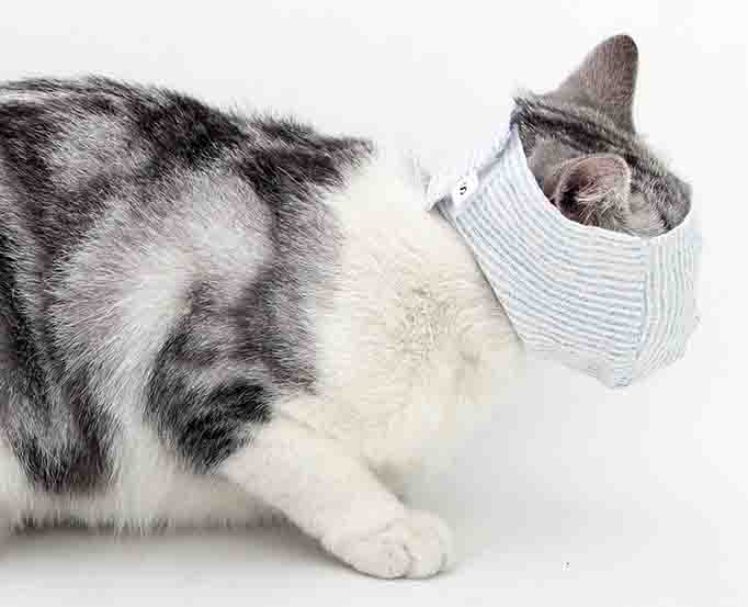 Cat Mask Cat Mouth Restraint Mask Cotton Muzzle Prevent Cat Bite Cat Meow