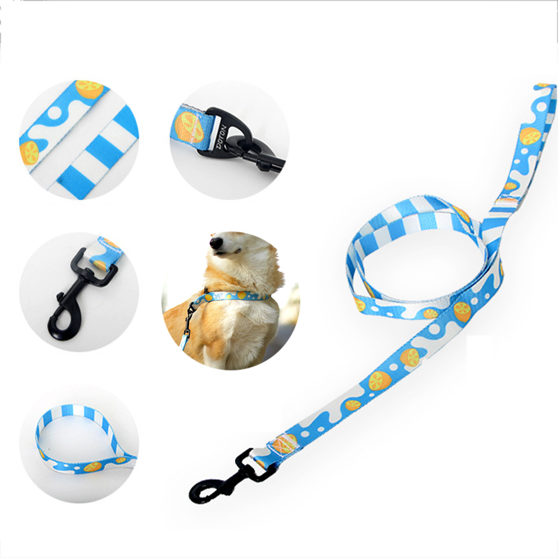 Dog Collar Leash Set With Adjustable Pet Collar And Strangle Resistant P Leash