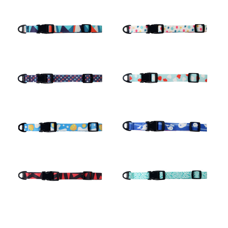 Dog Collar Leash Set With Adjustable Pet Collar And Strangle Resistant P Leash