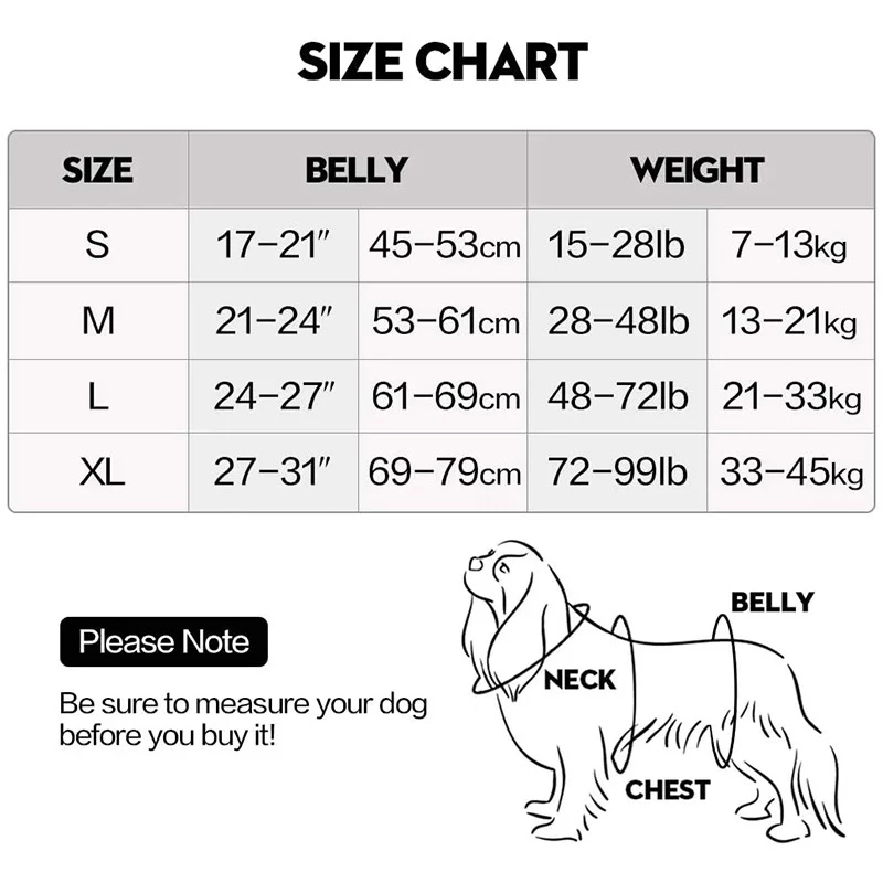 Dog Collar Leash Set With Adjustable Pet Collar And Strangle Resistant P Leash