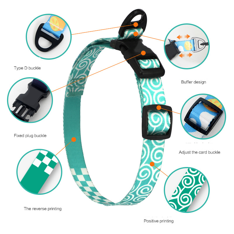 Dog Collar Leash Set With Adjustable Pet Collar And Strangle Resistant P Leash