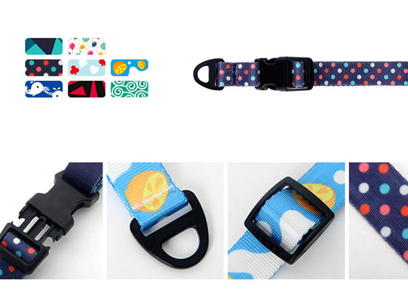 Dog Collar Leash Set With Adjustable Pet Collar And Strangle Resistant P Leash