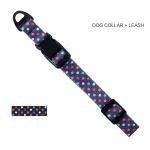 Dog Collar Leash Set With Adjustable Pet Collar And Strangle Resistant P Leash