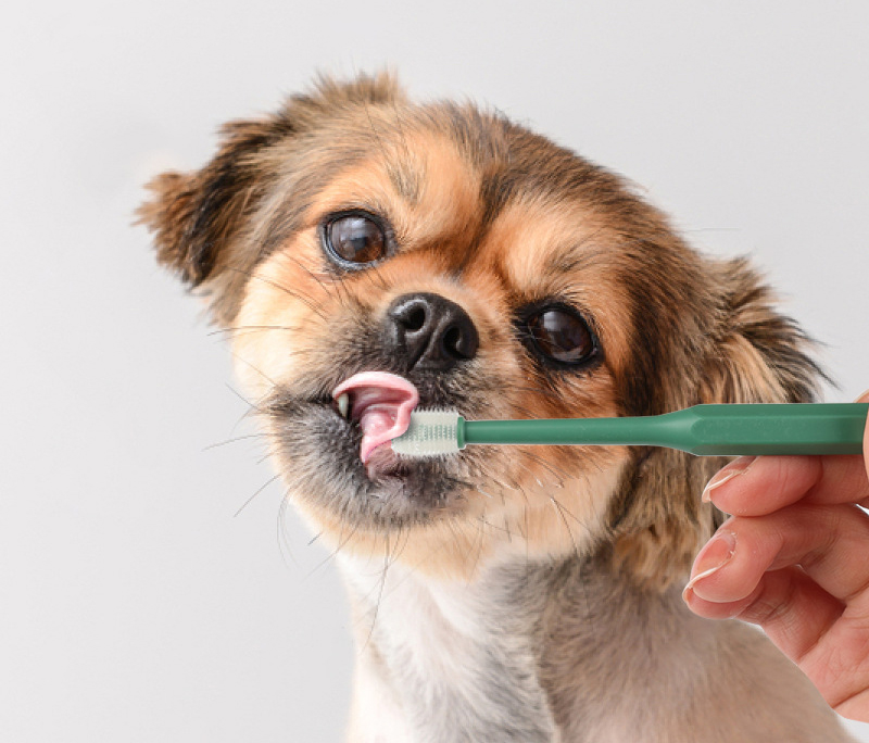 Cat Dog Rotary Oral Cleaning Toothbrush 